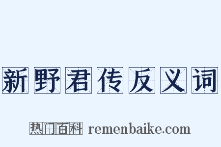 新野君传反义词是什么意思的图片